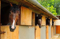 free Llansantffraed stable construction quotes